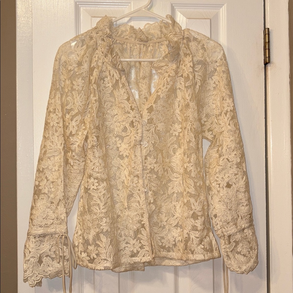 Elegant Cream embroidered Lace sheer Blouse - Picture 5 of 8